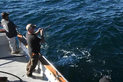 DSC_6668 (Large).JPG